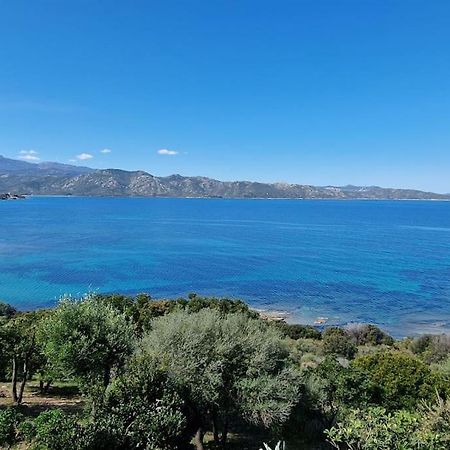 Appartement Sur La Baie De Saint Florent Patrimonio Ngoại thất bức ảnh
