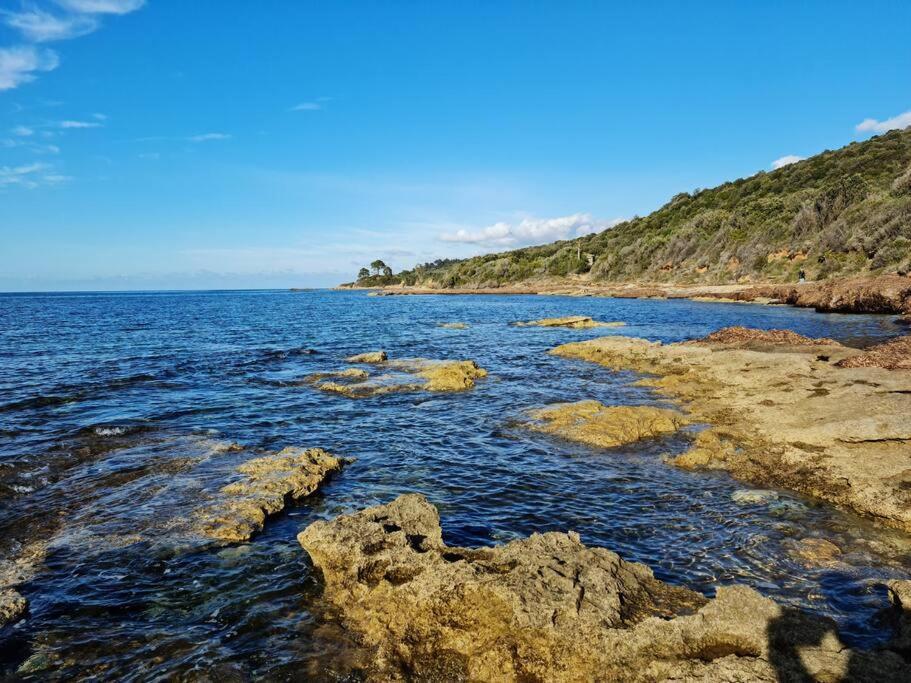 Appartement Sur La Baie De Saint Florent Patrimonio Ngoại thất bức ảnh