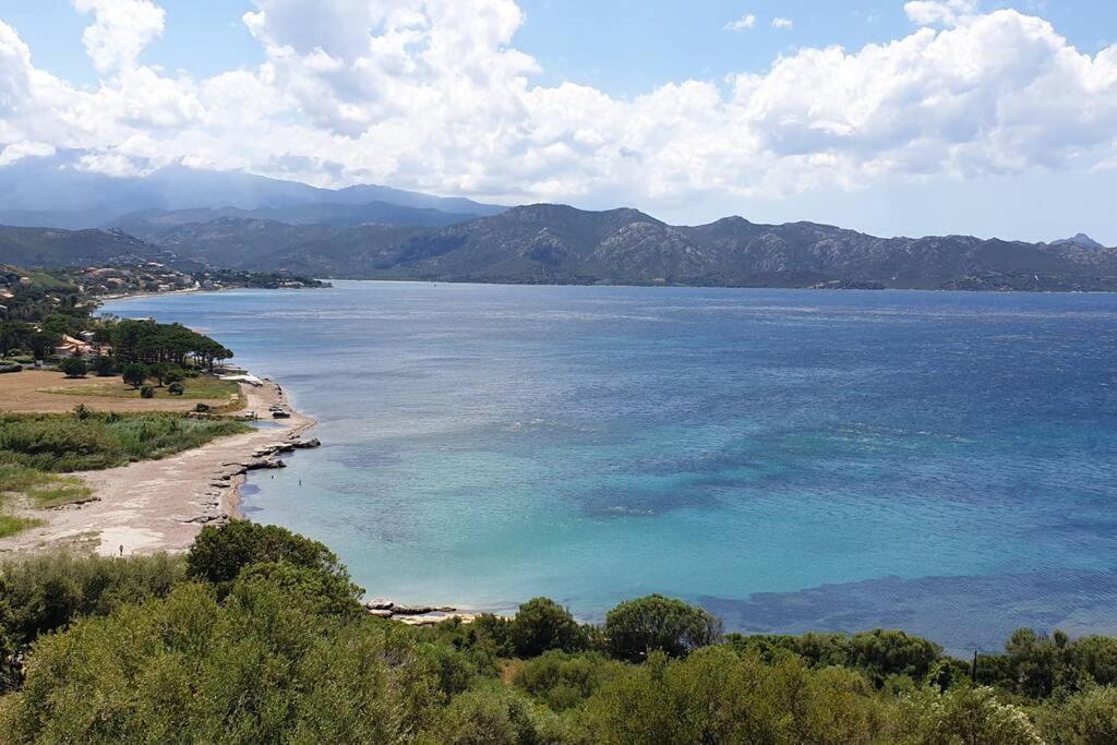 Appartement Sur La Baie De Saint Florent Patrimonio Ngoại thất bức ảnh