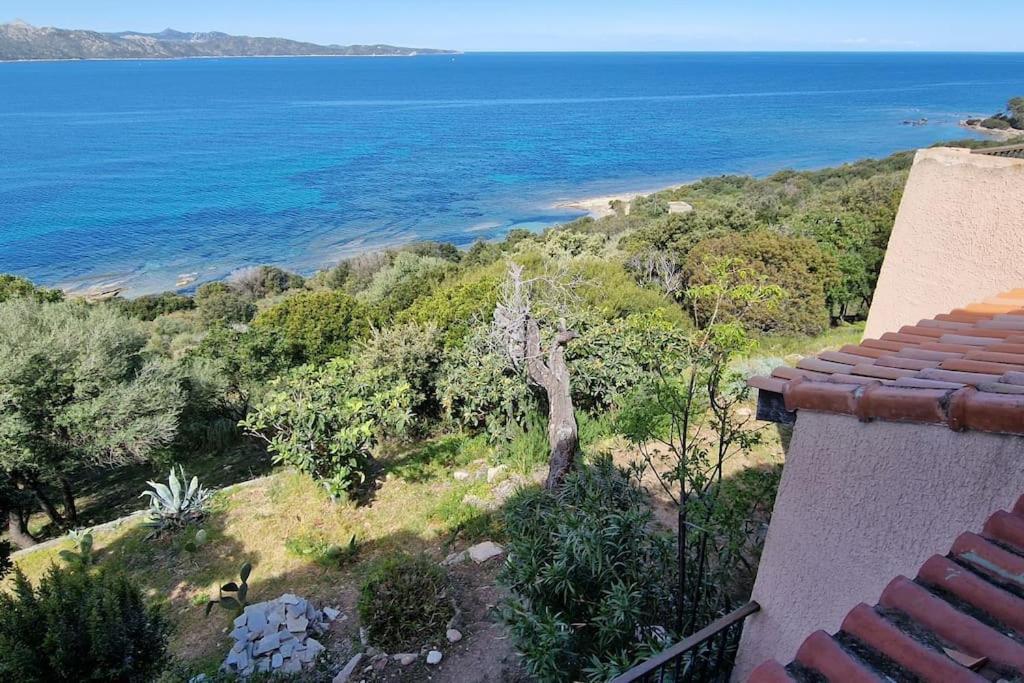 Appartement Sur La Baie De Saint Florent Patrimonio Ngoại thất bức ảnh
